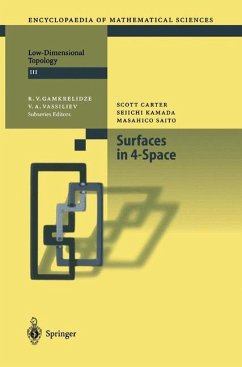 Surfaces in 4-Space - Carter, Scott; Kamada, Seiichi; Saito, Masahico