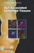 Gut-Associated Lymphoid Tissues - Bild 1