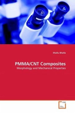 Cover PMMA/CNT Composites