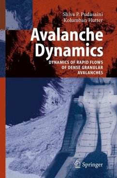 Avalanche Dynamics - Pudasaini, S. P.;Hutter, Kolumban