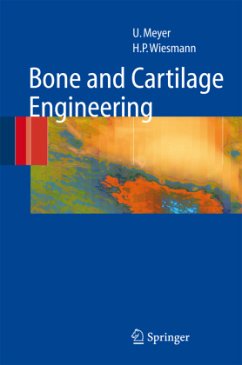 Bone and Cartilage Engineering - Meyer, Ulrich;Wiesmann, Hans Peter