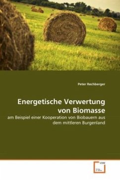 Energetische Verwertung von Biomasse - Rechberger, Peter
