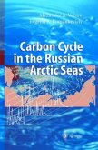 Carbon Cycle in the Russian Arctic Seas