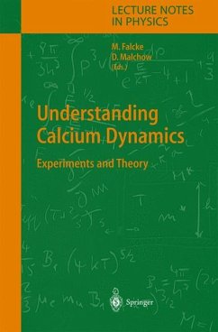 Understanding Calcium Dynamics