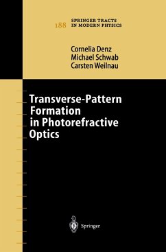 Transverse-Pattern Formation in Photorefractive Optics - Denz, Cornelia;Schwab, Michael;Weilnau, Carsten