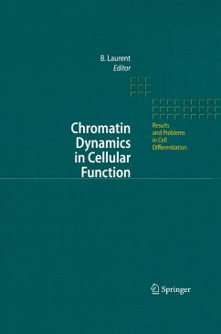 Chromatin Dynamics in Cellular Function