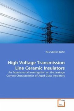 High Voltage Transmission Line Ceramic Insulators - Bashir, Nouruddeen