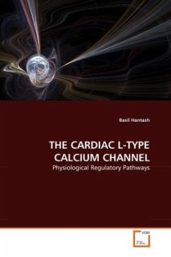 THE CARDIAC L-TYPE CALCIUM CHANNEL