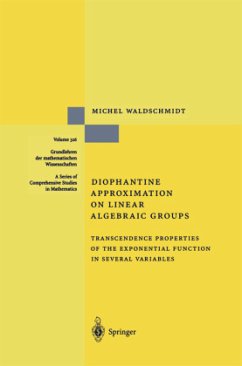 Diophantine Approximation on Linear Algebraic Groups - Waldschmidt, Michel