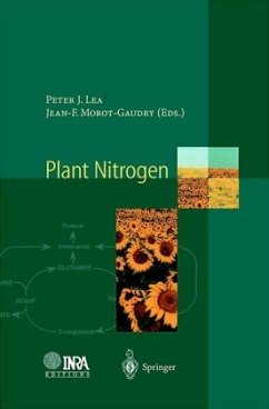 Plant Nitrogen