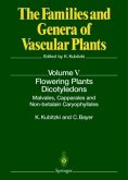 Flowering Plants · Dicotyledons