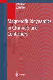 Magnetofluiddynamics in Channels and Containers