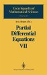 Partial Differential Equations VII - Bild 1