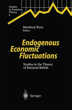 Endogenous Economic Fluctuations