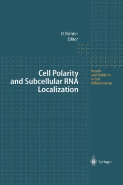 Cell Polarity and Subcellular RNA Localization