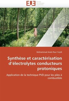 Synthèse Et Caractérisation D Électrolytes Conducteurs Protoniques - Arab Pour Yazdi, Mohammad