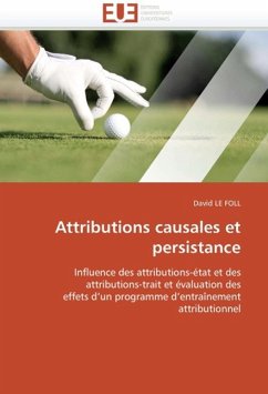 Attributions Causales Et Persistance