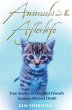 Animals and the Afterlife - Bild 1