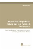 Production of synthetic natural gas in a fluidized bed reactor