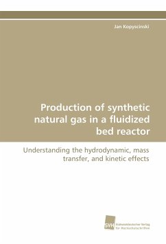 Production of synthetic natural gas in a fluidized bed reactor - Kopyscinski, Jan