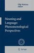 Meaning and Language: Phenomenological... - Bild 1