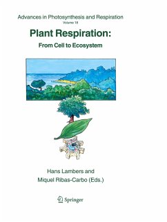 Plant Respiration