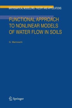 Functional Approach to Nonlinear Models of Water Flow in Soils - Marinoschi, G.