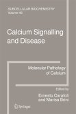 Calcium Signalling and Disease