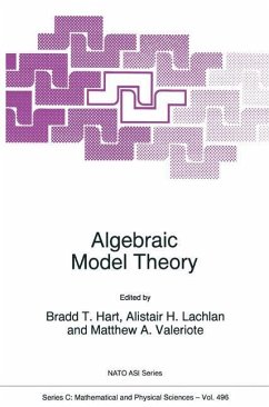 Algebraic Model Theory