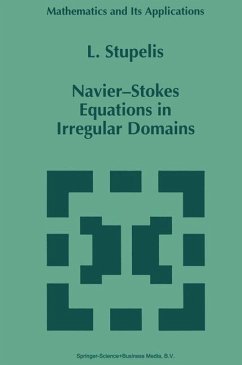 Navier-Stokes Equations in Irregular Domains - Stupelis, L.