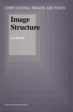 Image Structure - Florack, Luc