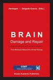 Brain Damage and Repair