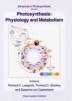 Photosynthesis: Physiology and Metabolism