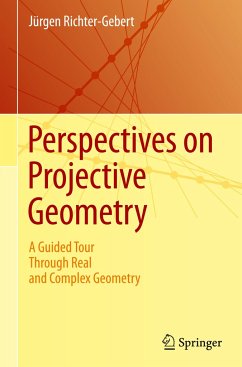 Perspectives on Projective Geometry - Richter-Gebert, Jürgen