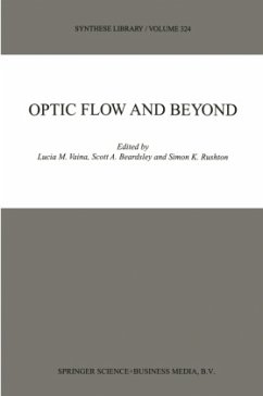 Optic Flow and Beyond