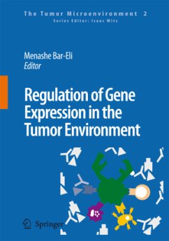 Regulation of Gene Expression in the Tumor Environment