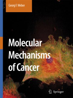 Molecular Mechanisms of Cancer - Weber, Georg F.
