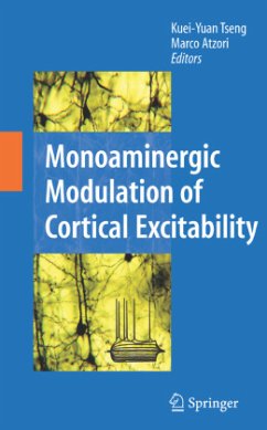 Monoaminergic Modulation of Cortical Excitability