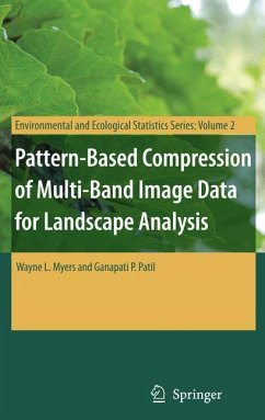 Pattern-Based Compression of Multi-Band Image Data for Landscape Analysis - Myers, Wayne L.;Patil, Ganapati P.