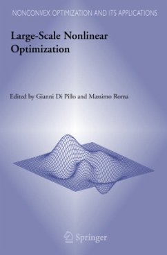 Large-Scale Nonlinear Optimization