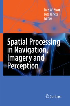 Spatial Processing in Navigation, Imagery and Perception