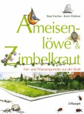 Ameisenlöwe und Zimbelkraut