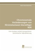 Chromosomale Veränderungen von Hirnmetastasen klarzelliger NZK