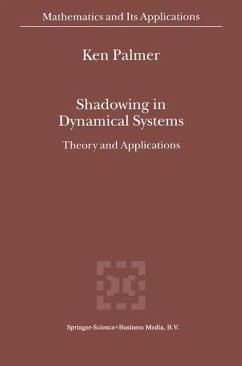 Shadowing in Dynamical Systems - Palmer, K. J.