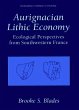 Aurignacian Lithic Economy - Bild 1