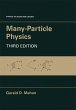 Many-Particle Physics - Bild 1