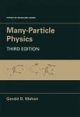 Many-Particle Physics