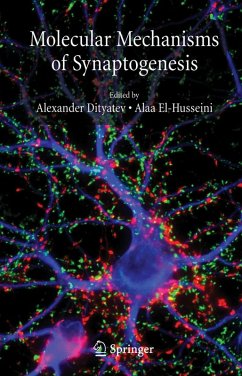 Cover Molecular Mechanisms of Synaptogenesis