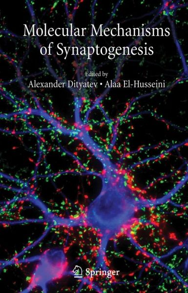 Molecular Mechanisms of Synaptogenesis Molecular Mechanisms of Synaptogenesis