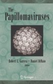 The Papillomaviruses